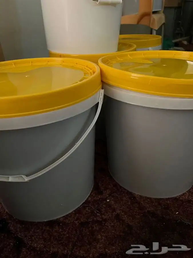 عسل طلح فرز جديد من منطقه حايل 0