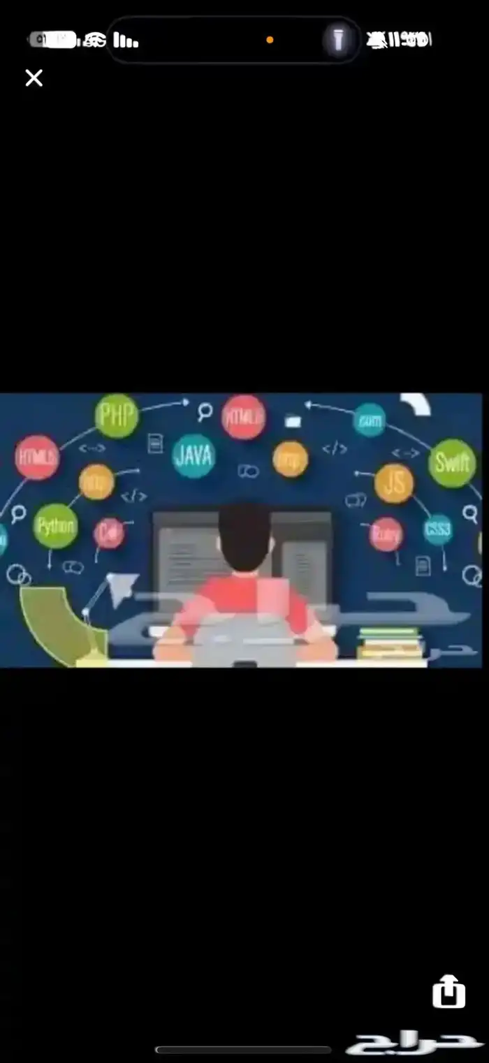 حل جميع الواجبات والاختبارات 0