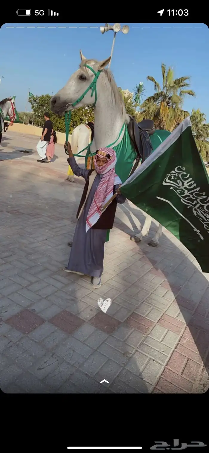 اسطبل ومربط الصحبة لإيواء وبيع وشراء الخيل 10