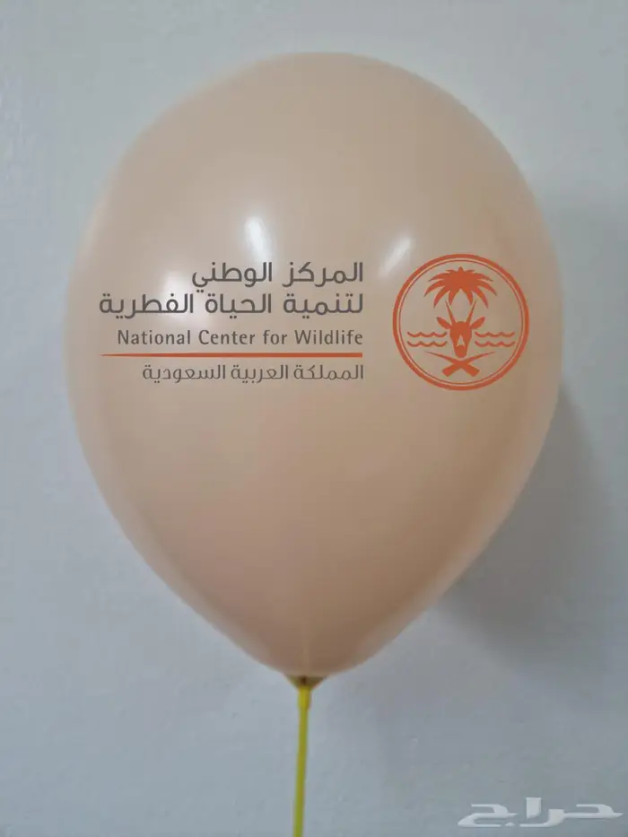 طباعة بالون لجميع شعارات 3