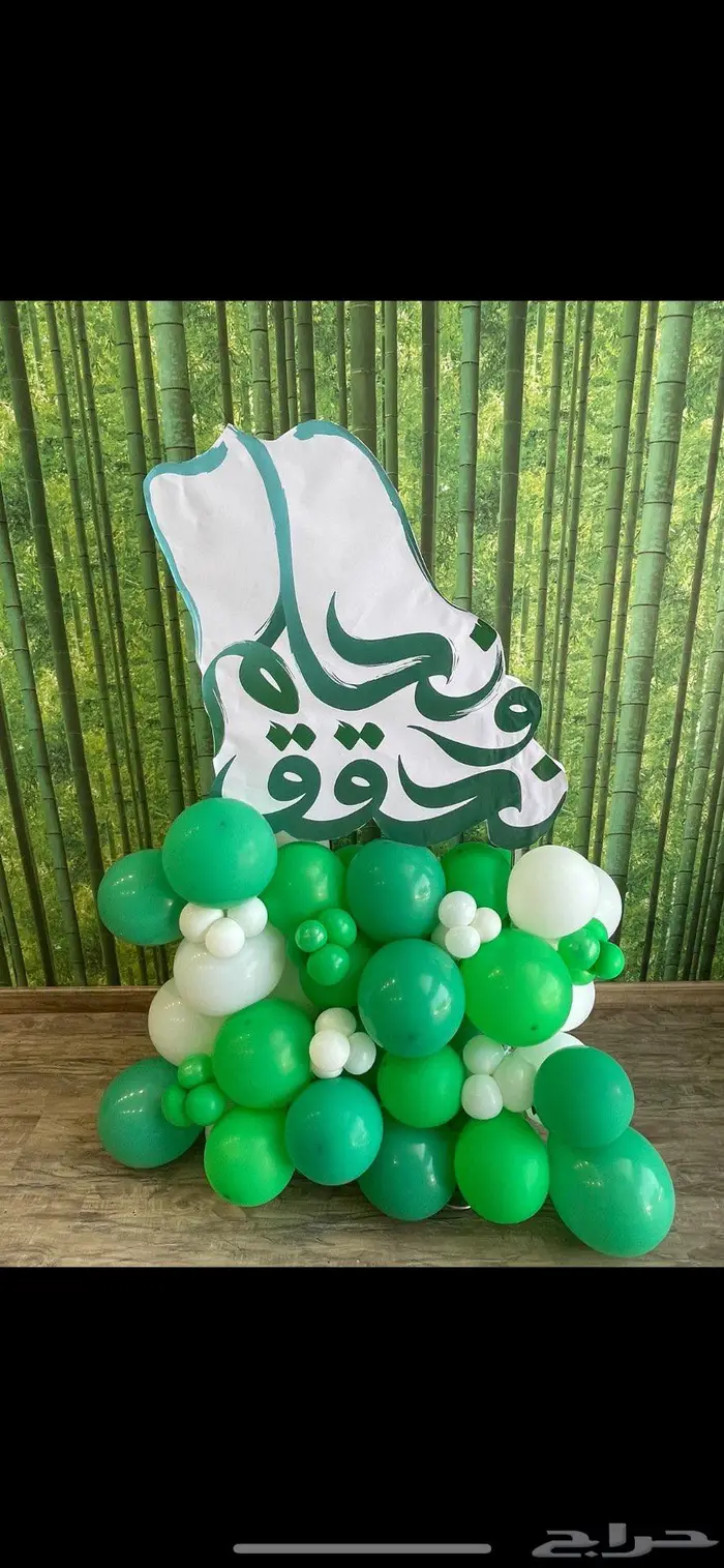 كشافات اليوم الوطني 10