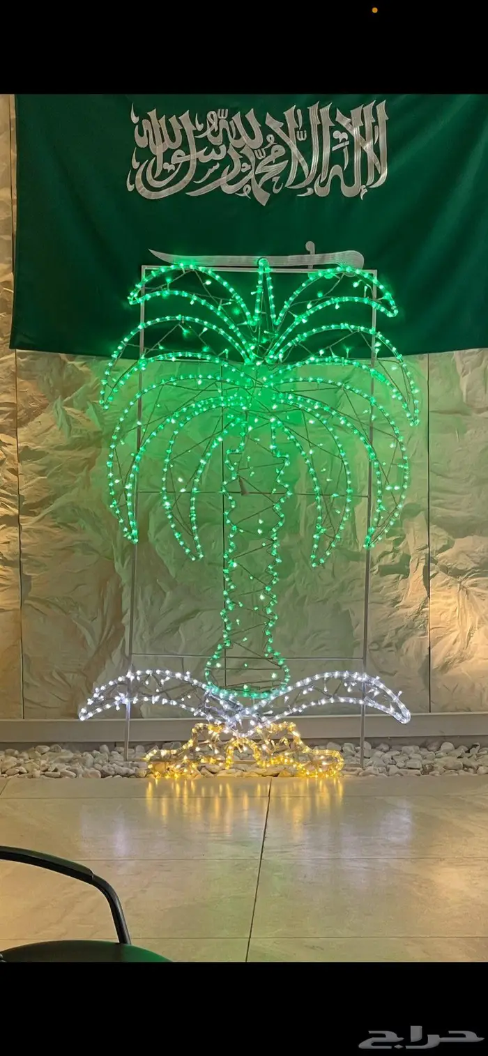 كشافات اليوم الوطني 19