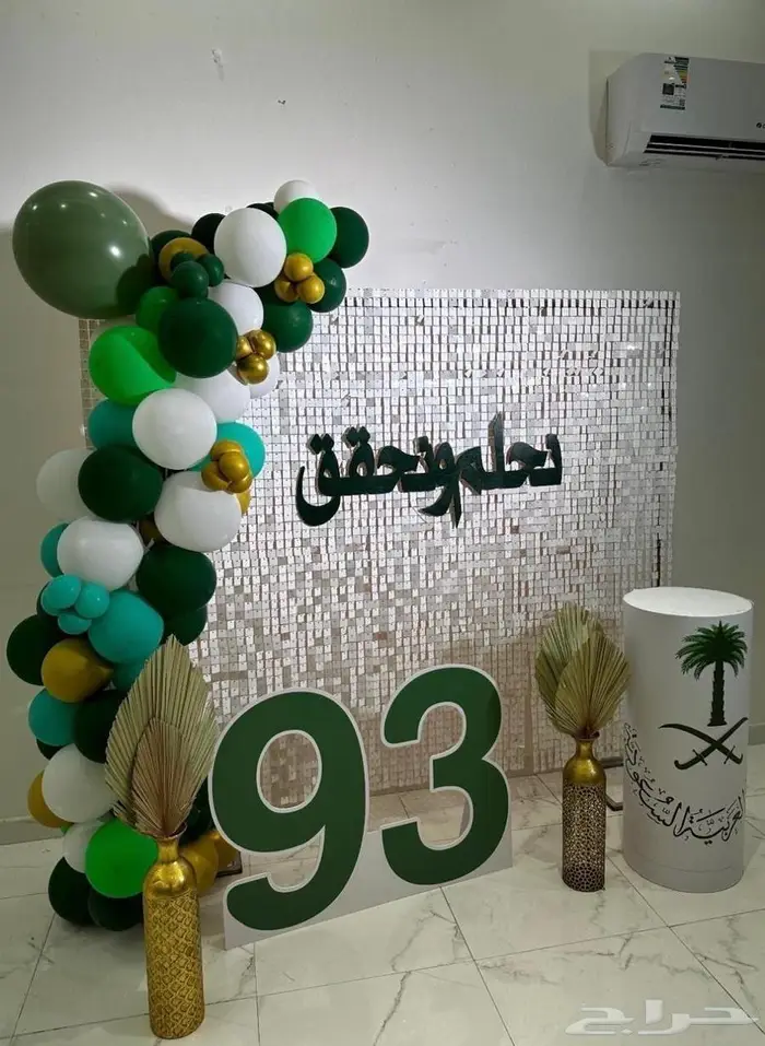 كشافات اليوم الوطني 16