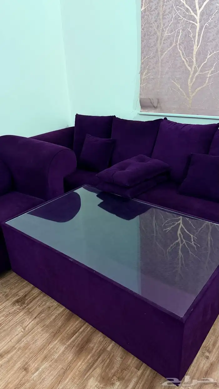 مجلس 5