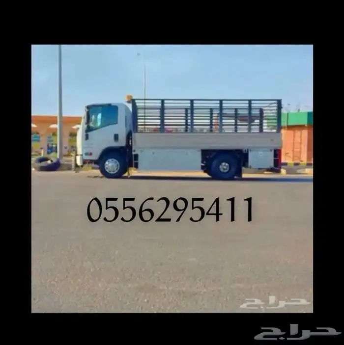 دينا صندوق 0
