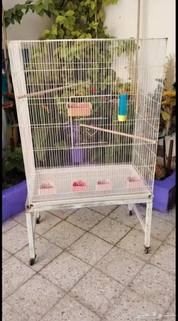 قفص طيور 1