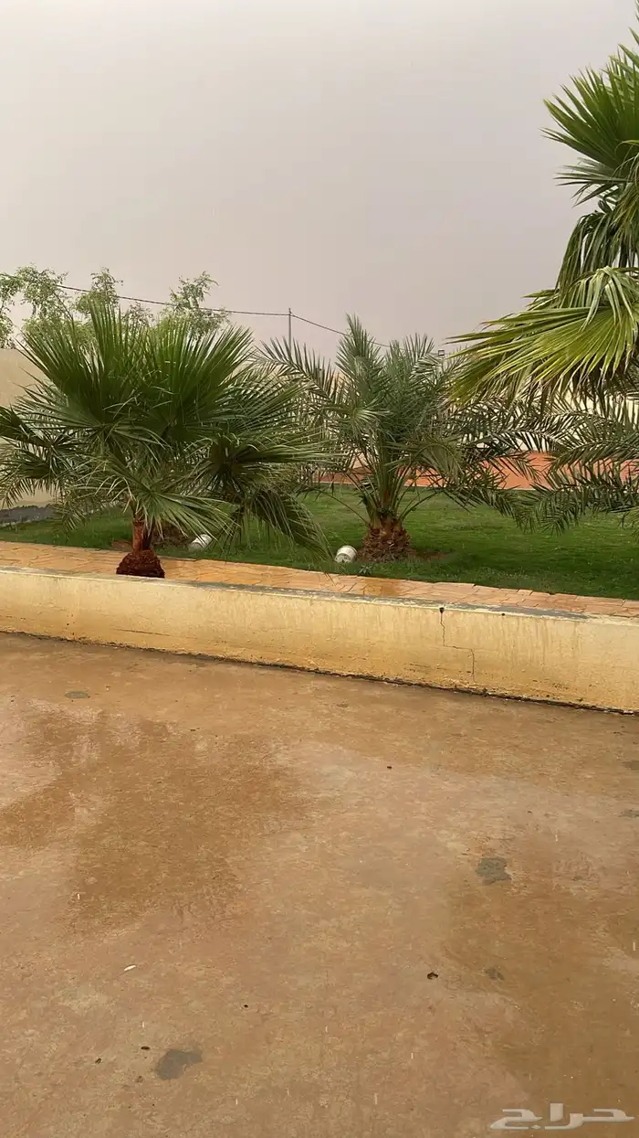 استراحه للإيجار في المشاعله مخطط النزهه 4