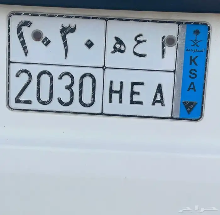 للبيع للوحه جاهزه اوراقها 1