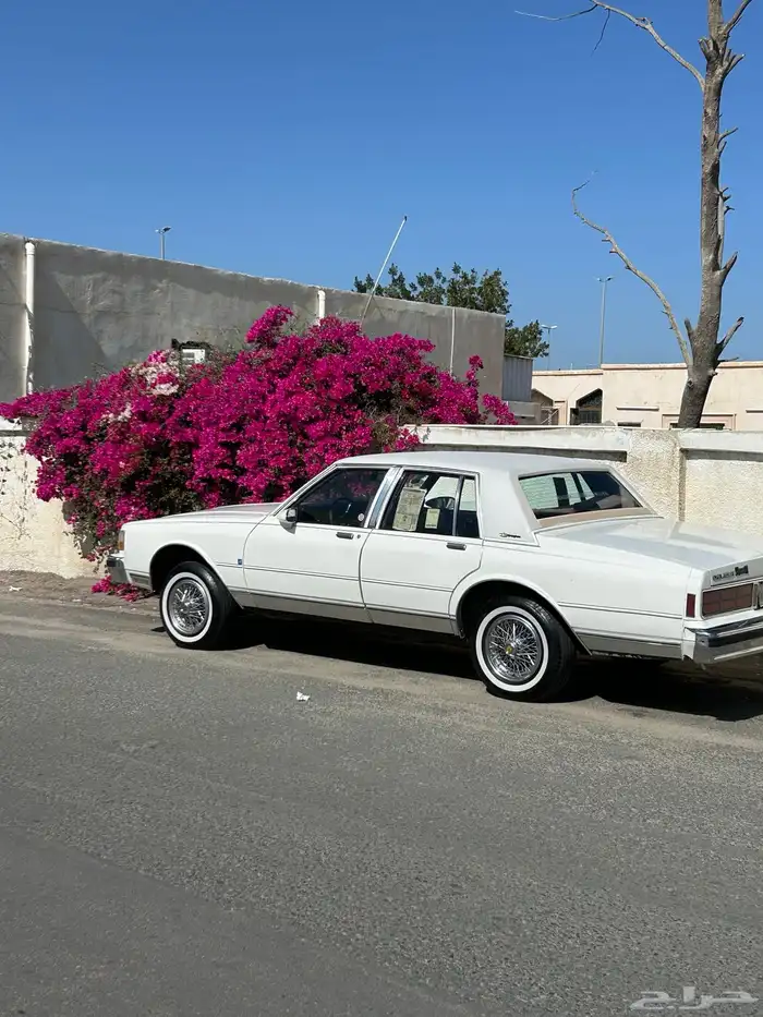 كابرس تم البيع تم البيع 2
