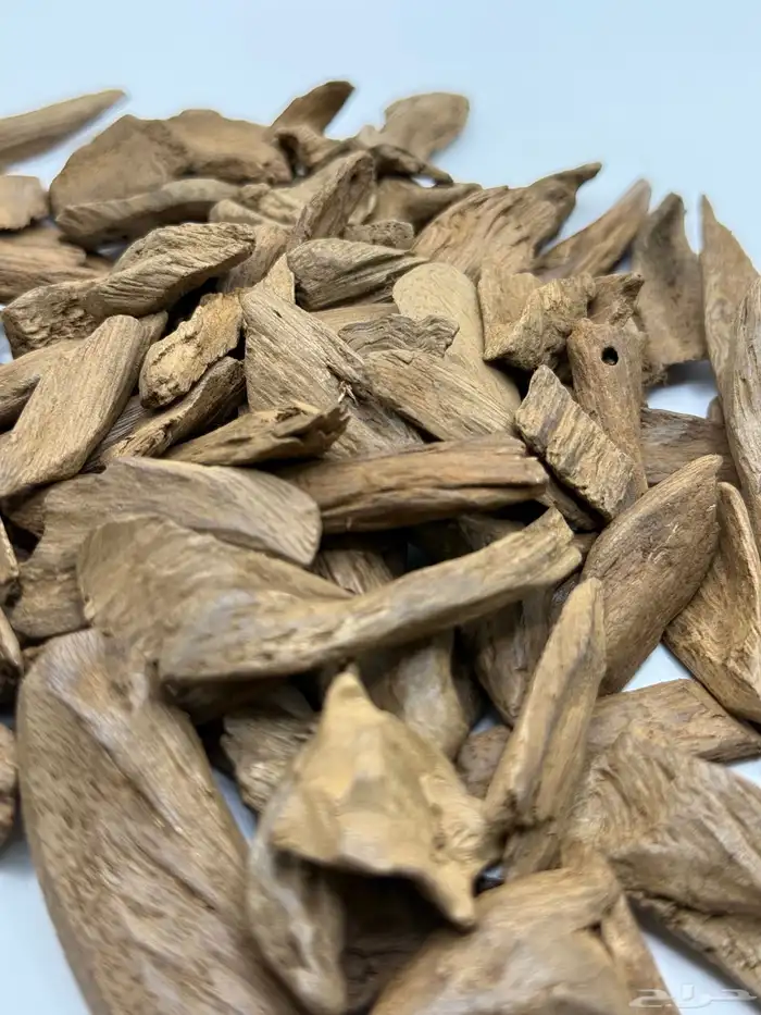 عود مروكي آصقون طبيعي ميني مباخر سوبر مرتفع 0