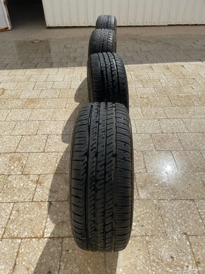 كفرات وجنوط 6