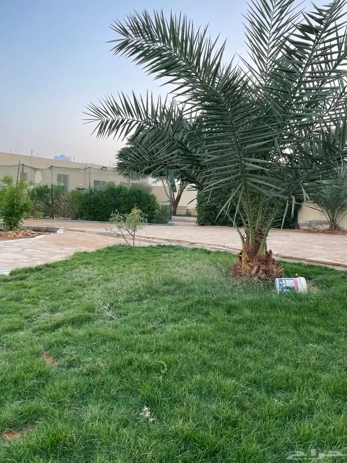 استراحه للإيجار في المشاعله مخطط النزهه 12