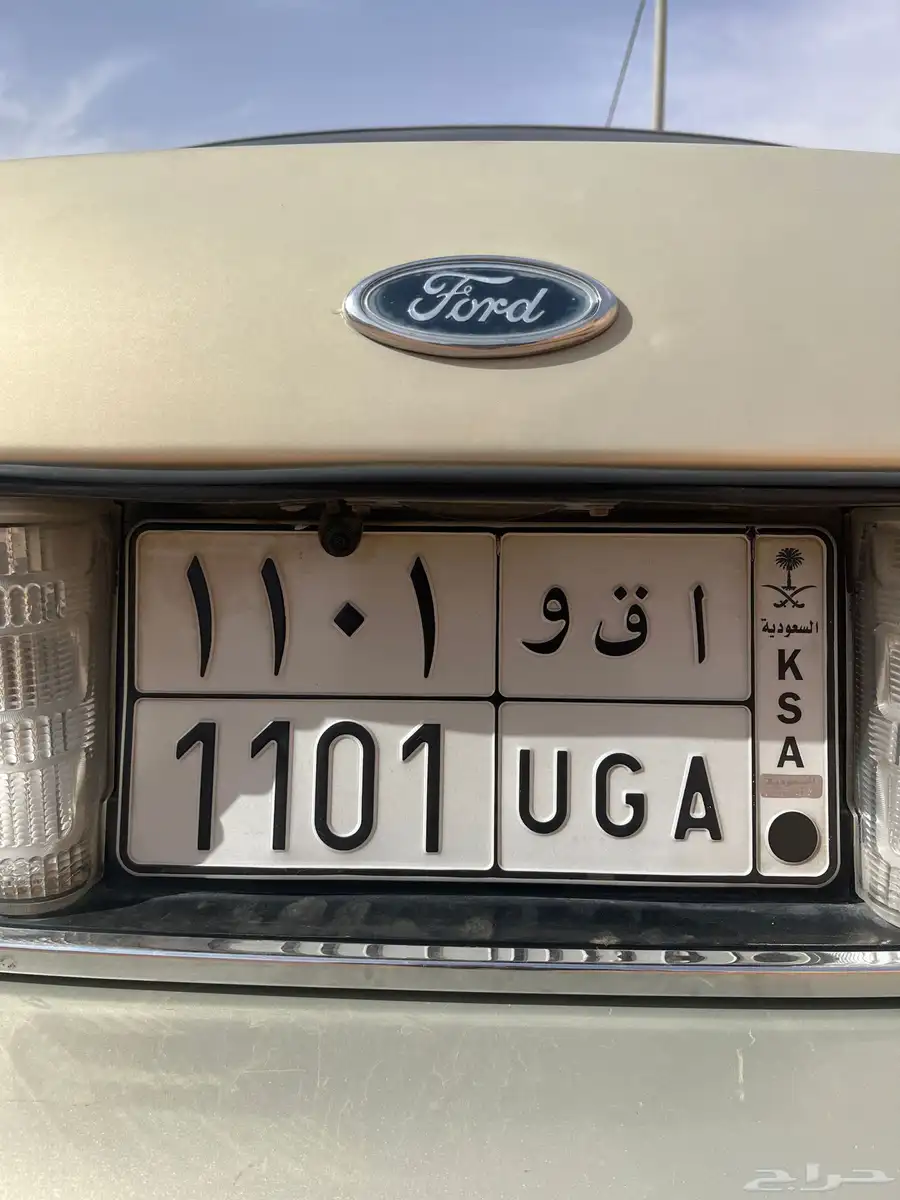 لوحه مميزه للبيع على السوم 0
