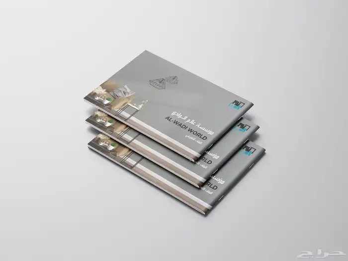 تصميم بروفايل احترافي بوقت وسعر منافس 0