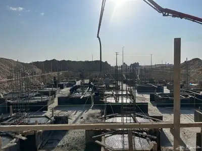 مصنف 6