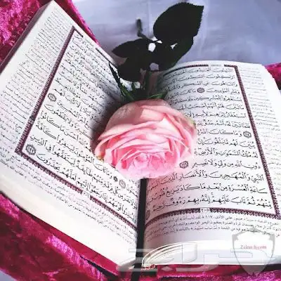 معلمة تحفيظ قران عن بعد 1