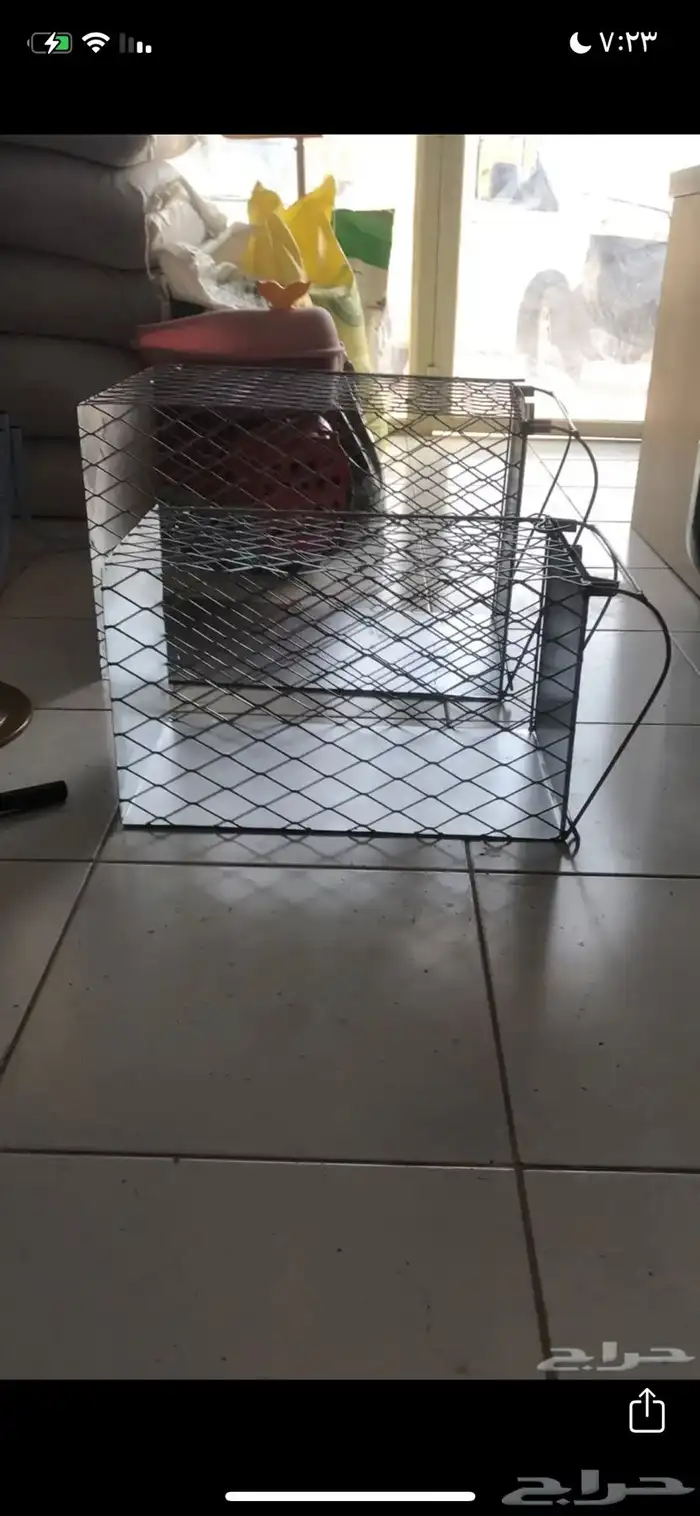 مصيده قطط قطاوي قطه 0