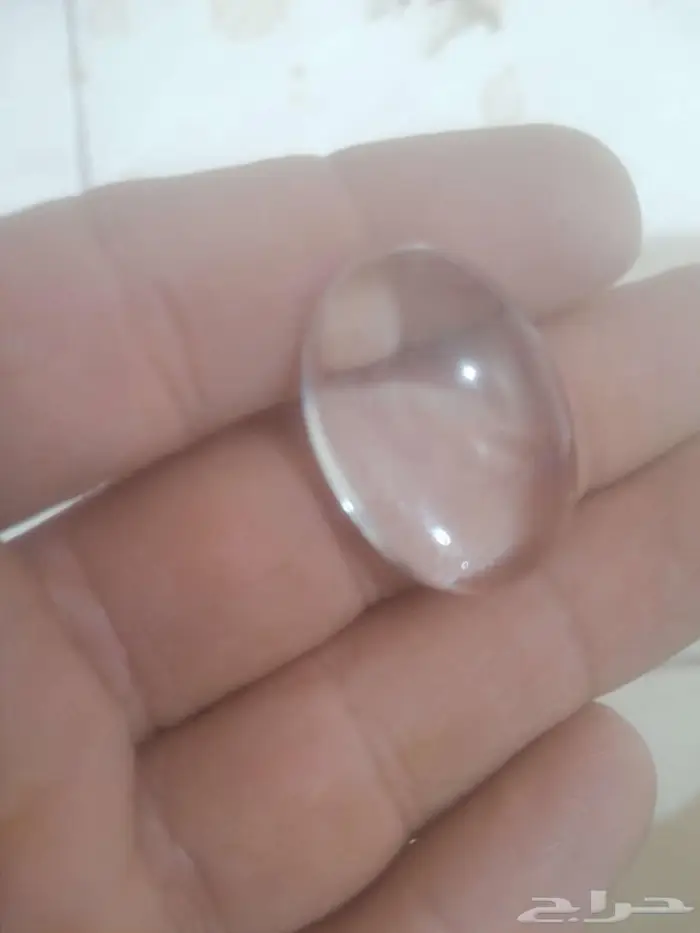 در نجفي فص 0