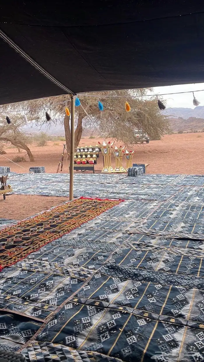 العز للرحلات البرية 0