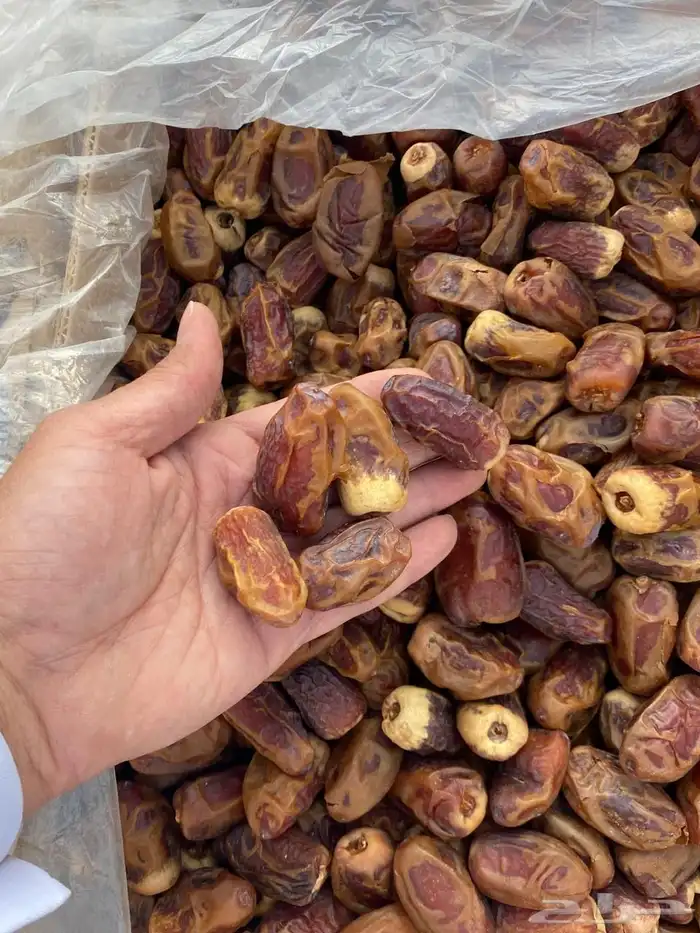 40 عروض على تمور مزارعنا خلاص سكري صقعي 8