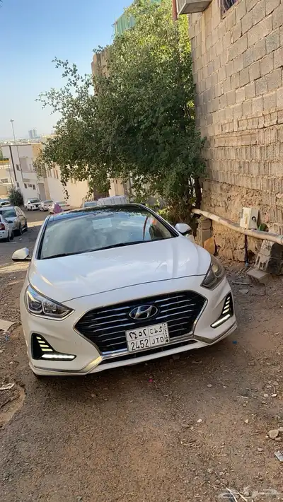 أطلب مباشر شلون كم تبغى index