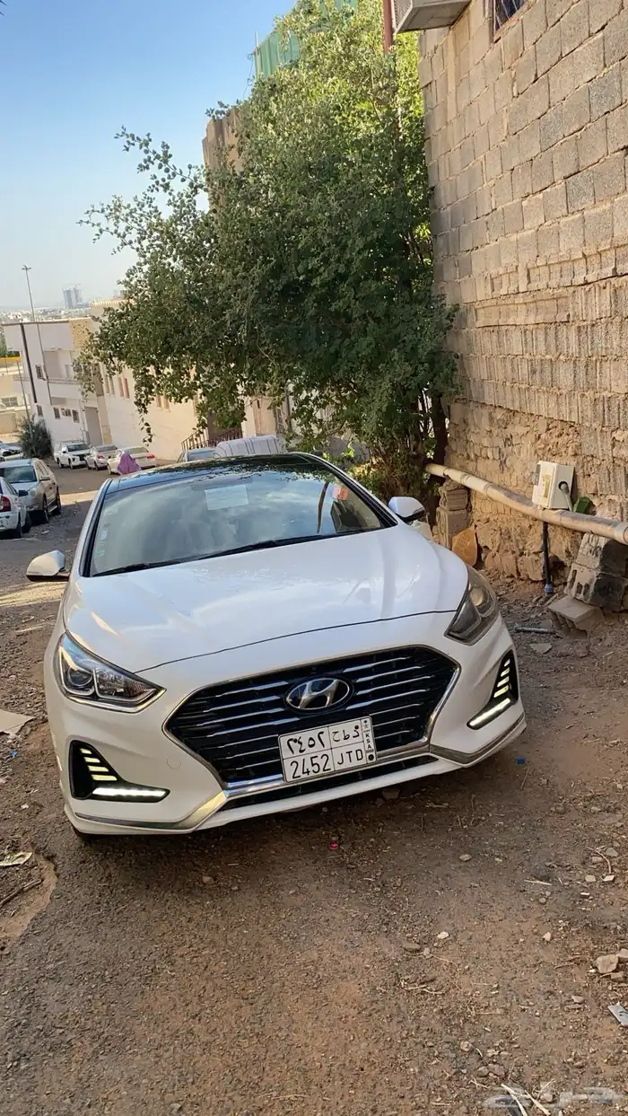 أطلب مباشر شلون كم تبغى 0