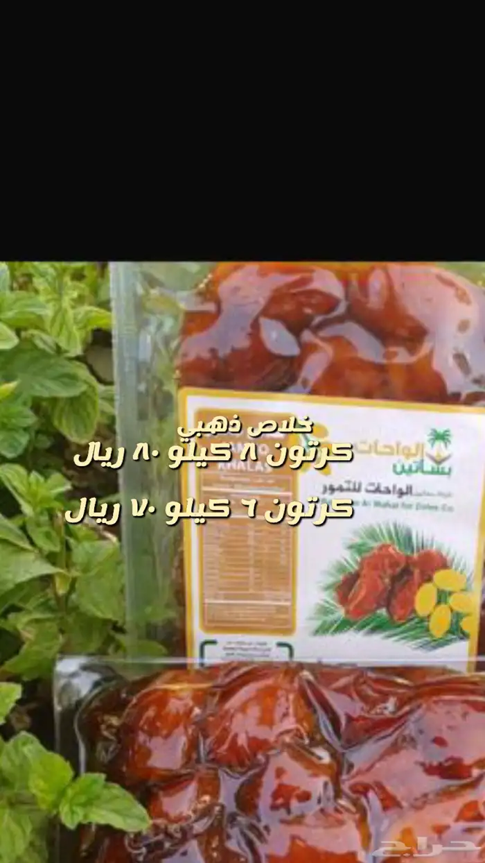 تمور القصيم في الشرقية بالظهران 2