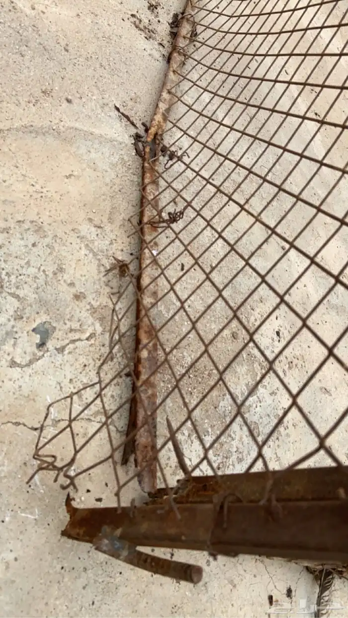 شبك طيور البيع 6