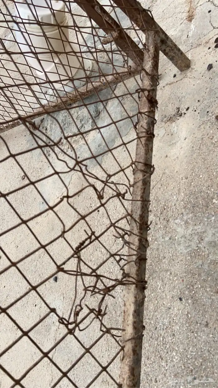 شبك طيور البيع 7