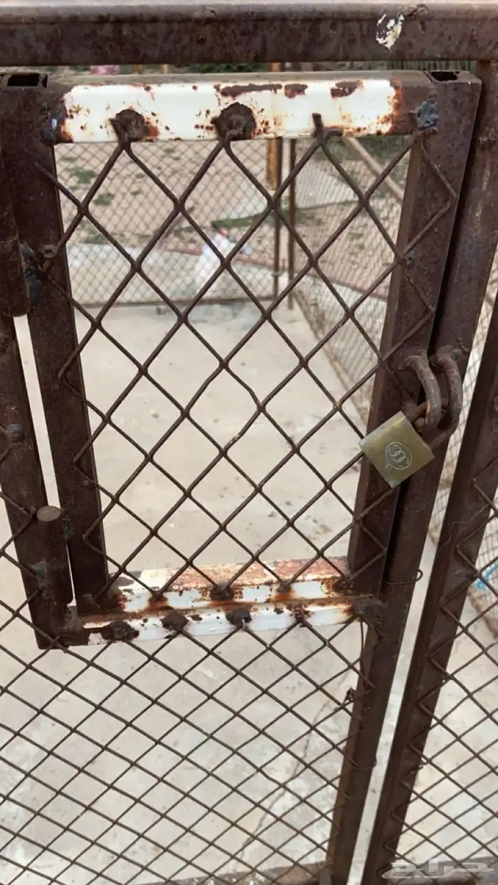 شبك طيور البيع 4