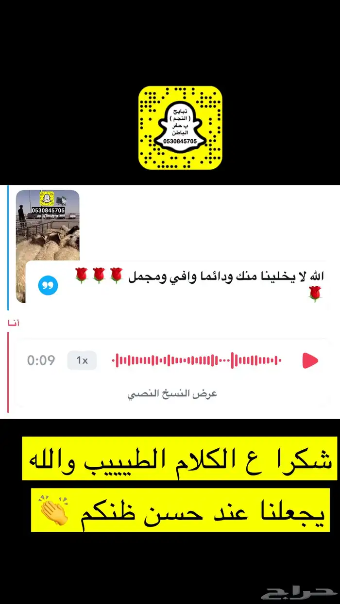 ذبايح النجم بحفر الباطن 4