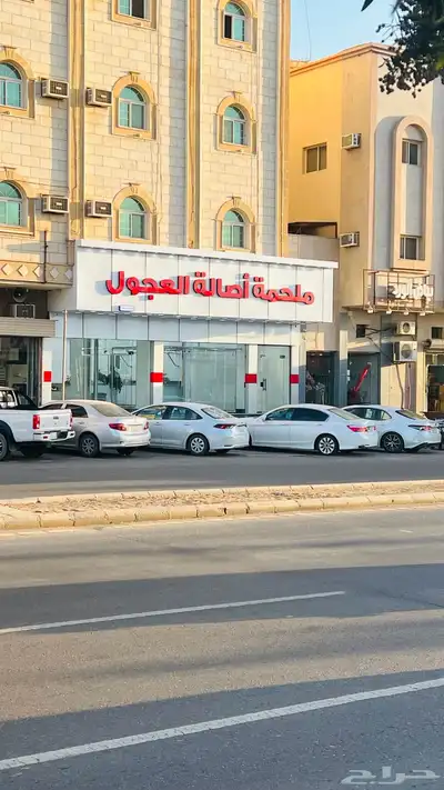 ملحمة اصالة العجول للعجول الجنوبيه اللبانيه في تبوك 2