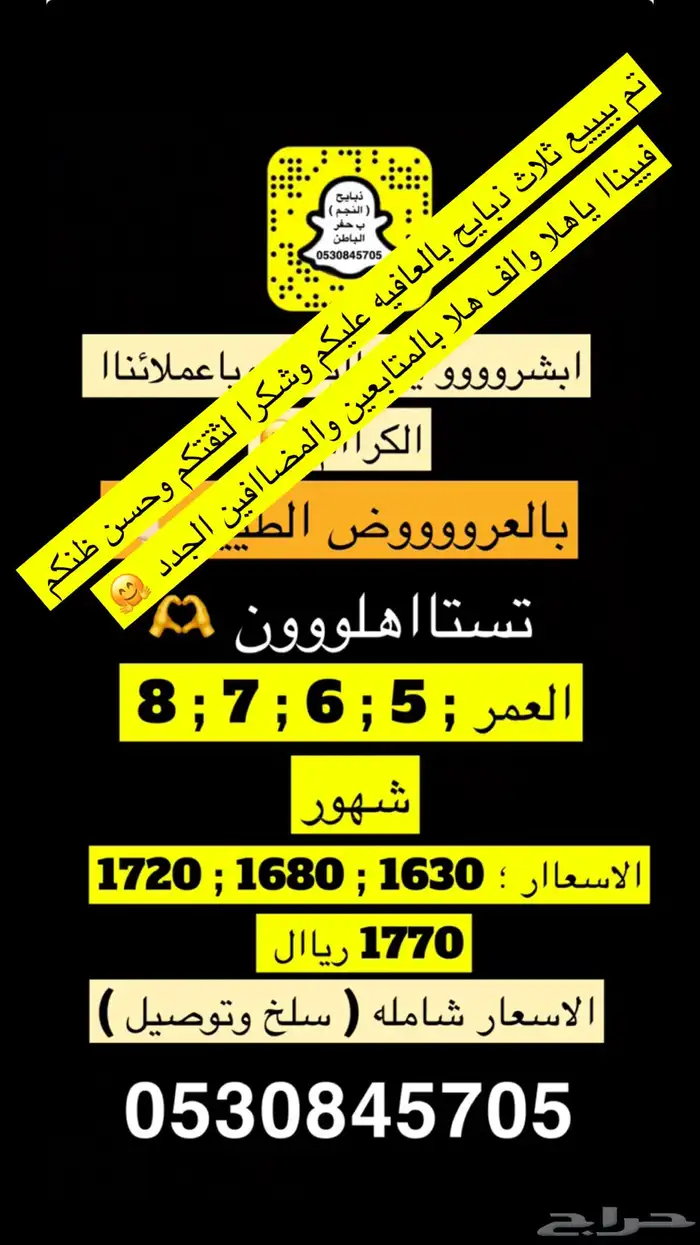 ذبايح النجم بحفر الباطن 2