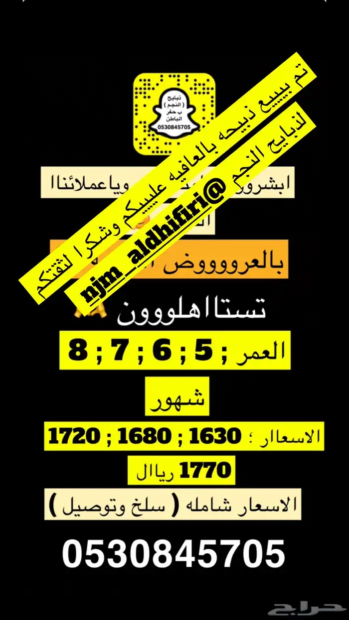 ذبايح النجم بحفر الباطن 0