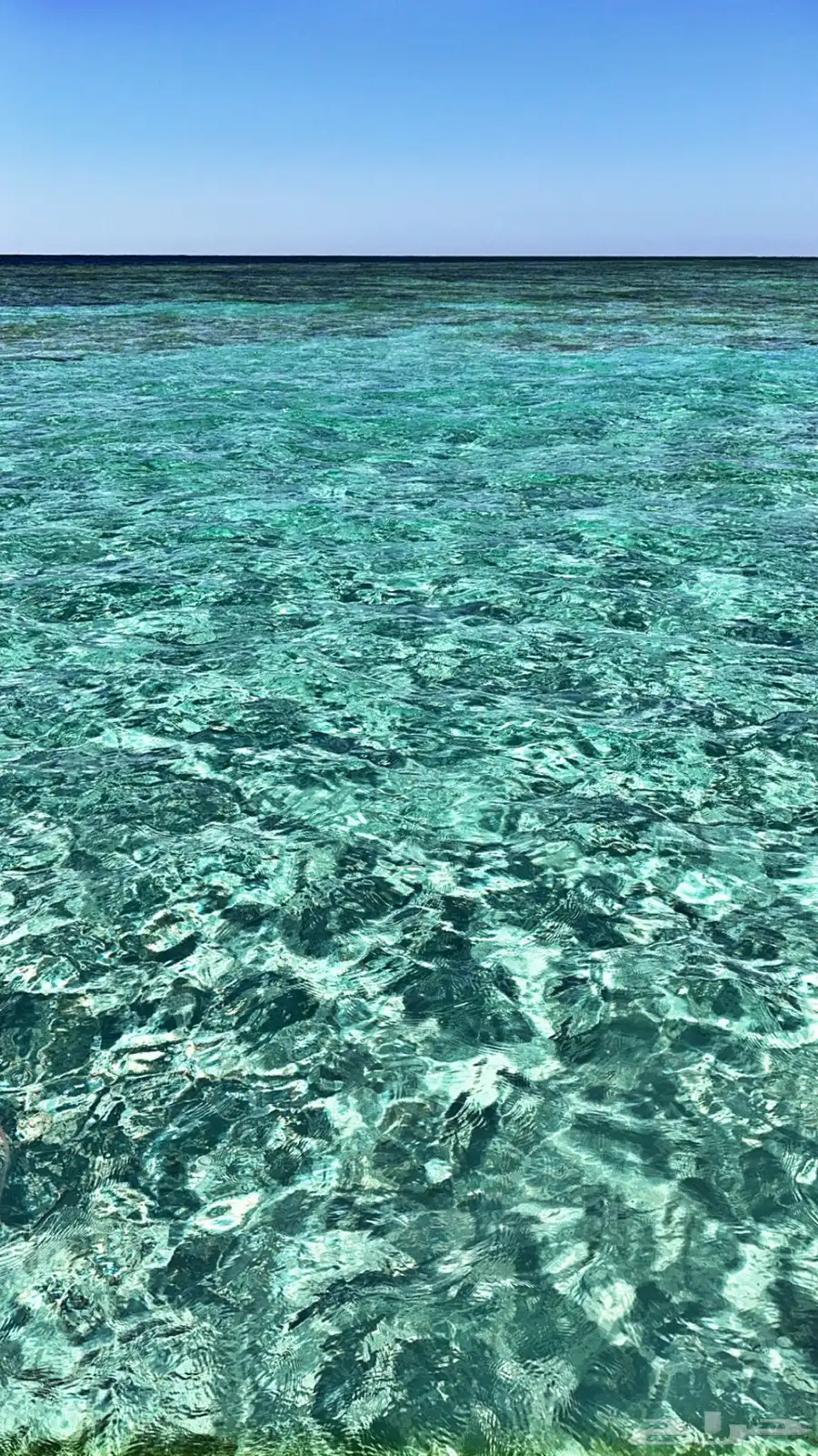 قارب ينبع رحلات بحريه 6