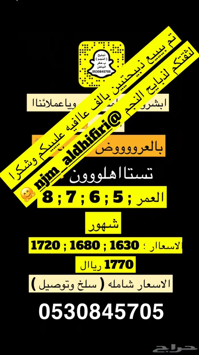 ذبايح النجم بحفر الباطن 1