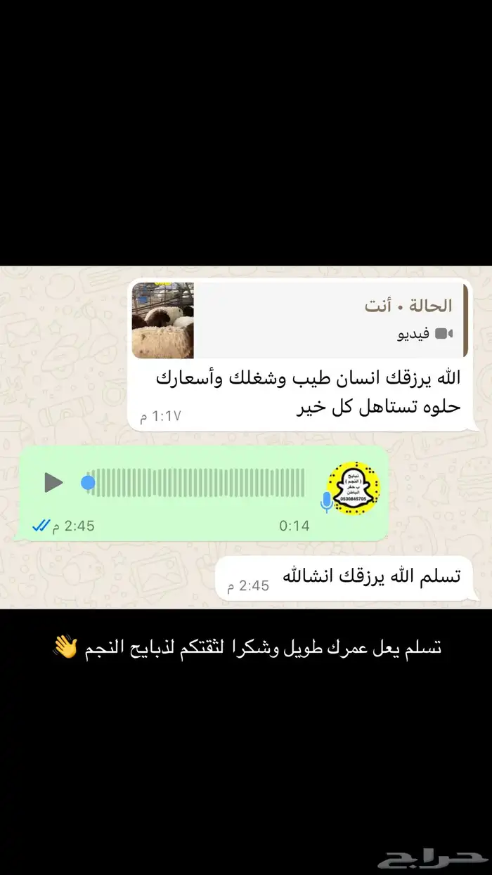 ذبايح النجم بحفر الباطن 47