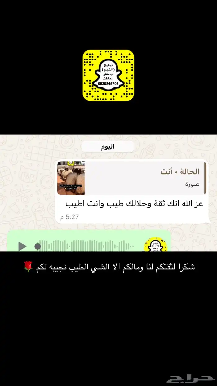 ذبايح النجم بحفر الباطن 45