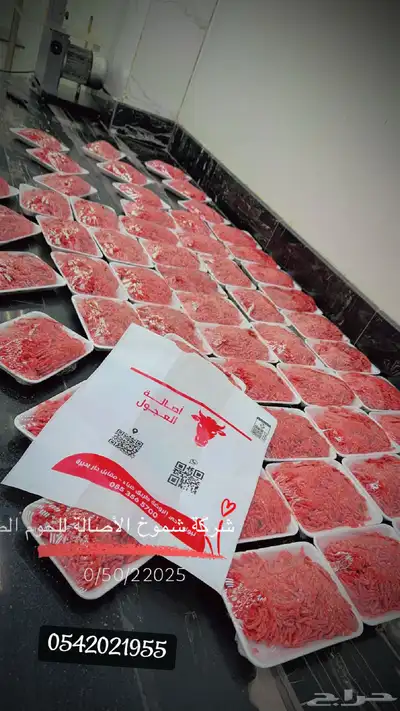 ملحمة اصالة العجول للعجول الجنوبيه اللبانيه في تبوك 14