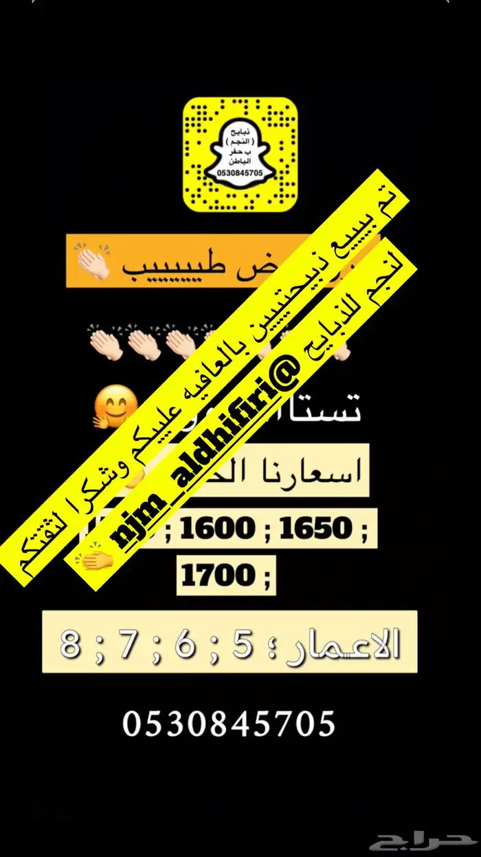 ذبايح النجم بحفر الباطن 9