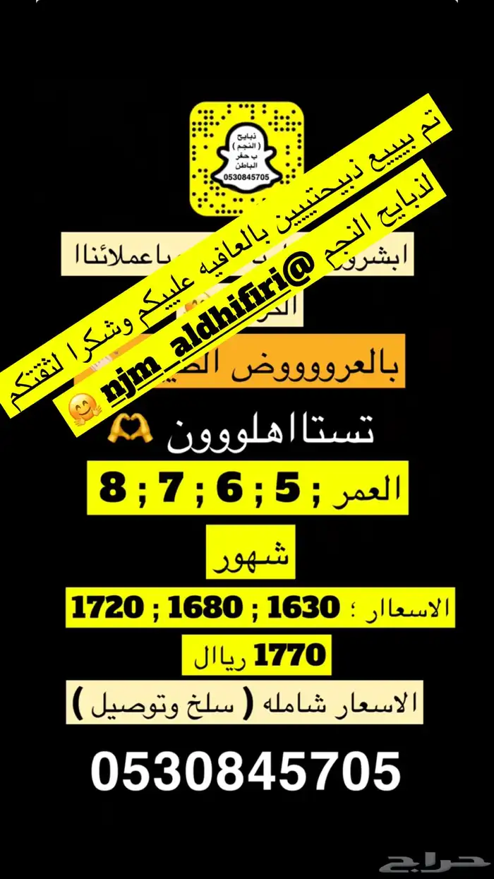 ذبايح النجم بحفر الباطن 7