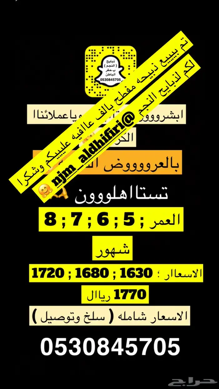 ذبايح النجم بحفر الباطن 5