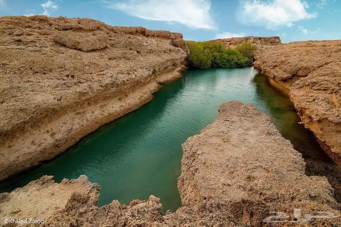 حجز جزيرة فرسان 2