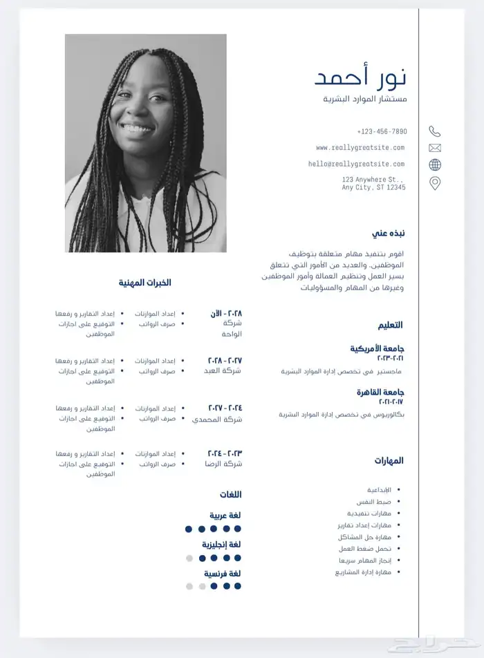 تصميم سيرة ذاتية بشكل احترافي و اقل سعر cv 2