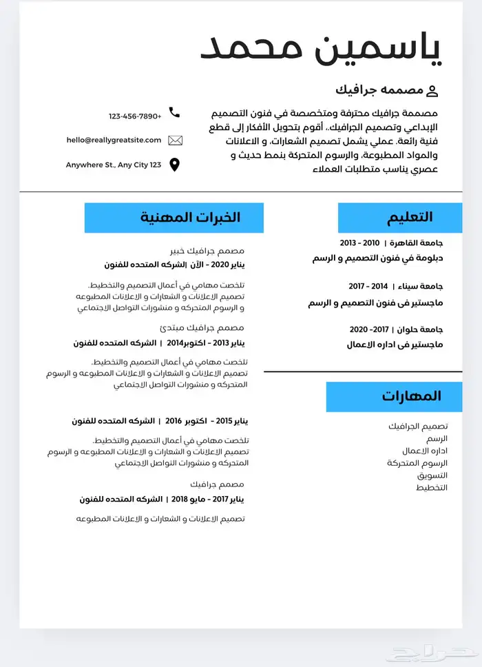 تصميم سيرة ذاتية بشكل احترافي و اقل سعر cv 3