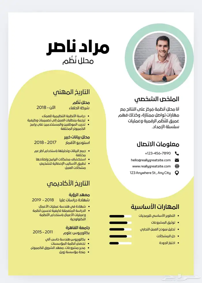 تصميم سيرة ذاتية بشكل احترافي و اقل سعر cv 1