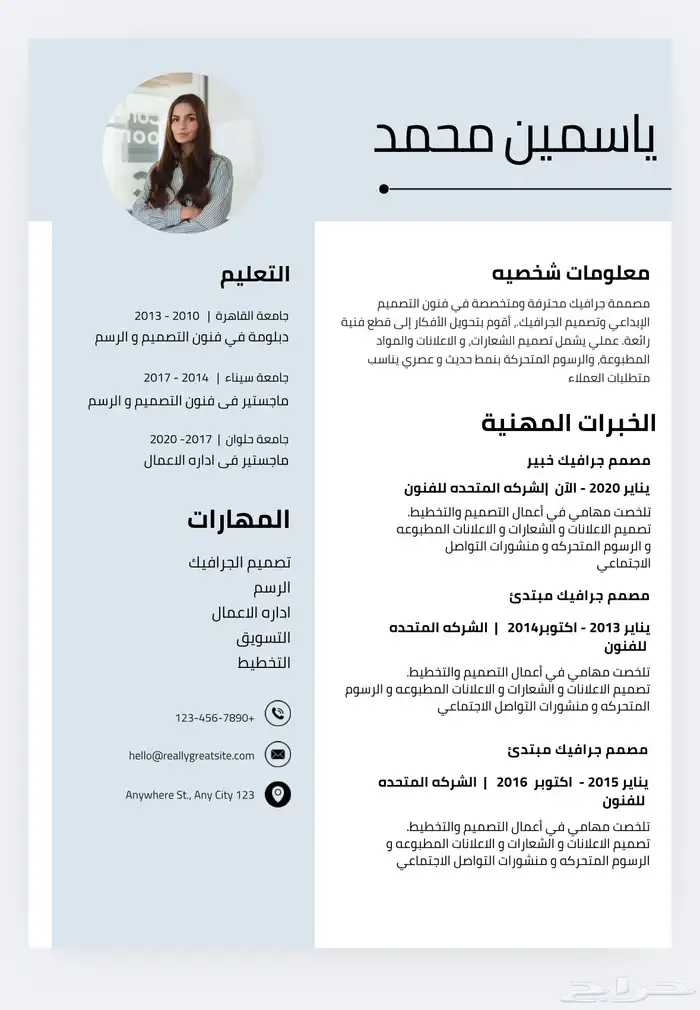 تصميم سيرة ذاتية بشكل احترافي و اقل سعر cv 4