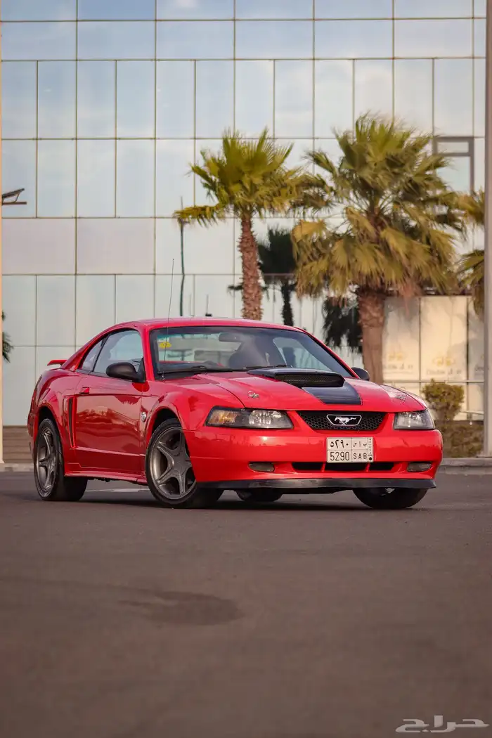 تصوير سيارات احترافي 16