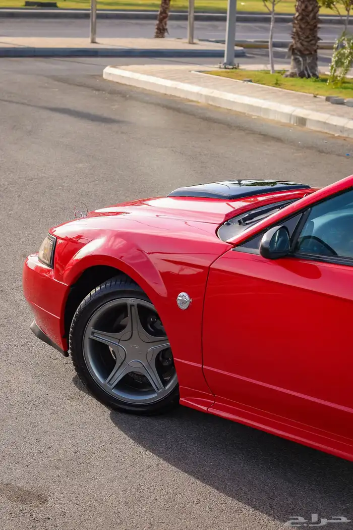 تصوير سيارات احترافي 15