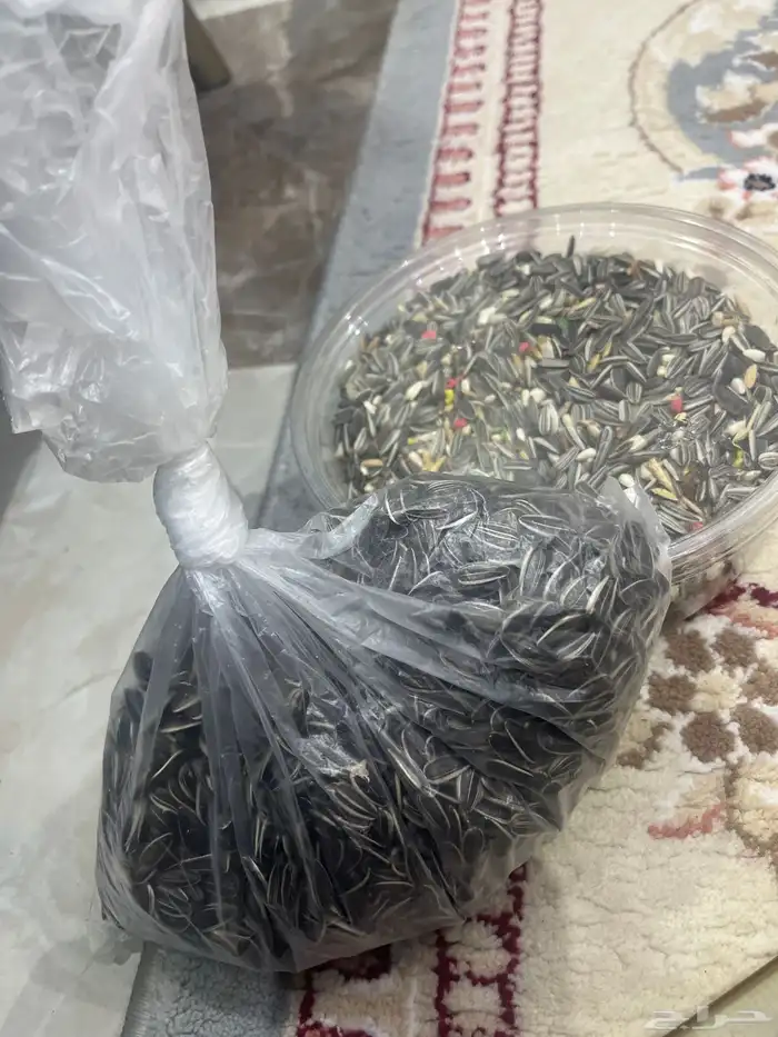 اكل طيور مستلزمات طيور 3